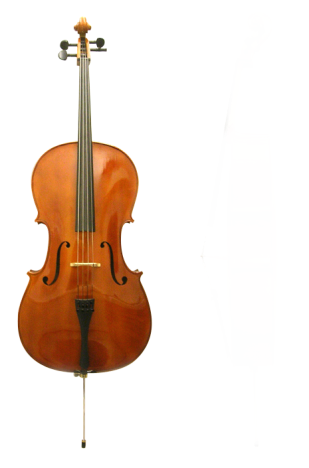 Curso de Violoncelo em Guarulhos