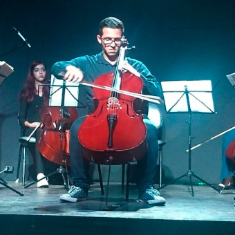 Professores de Violino em Guarulhos